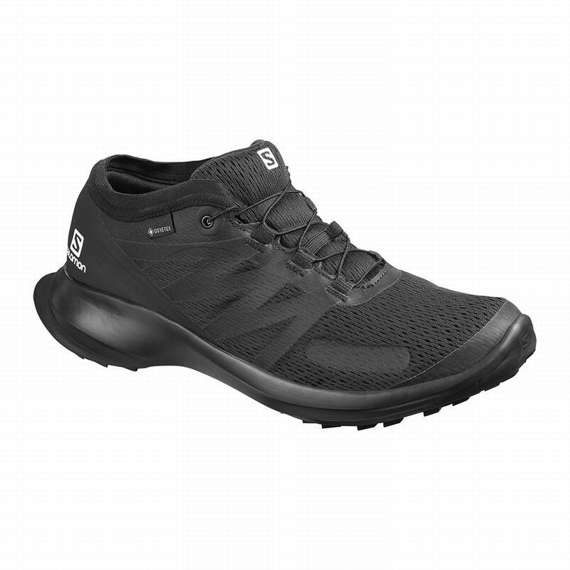 Buty Do Biegania W Terenie Męskie Salomon SENSE FLOW GTX - Czarne - Polska (531-SNTPGF)